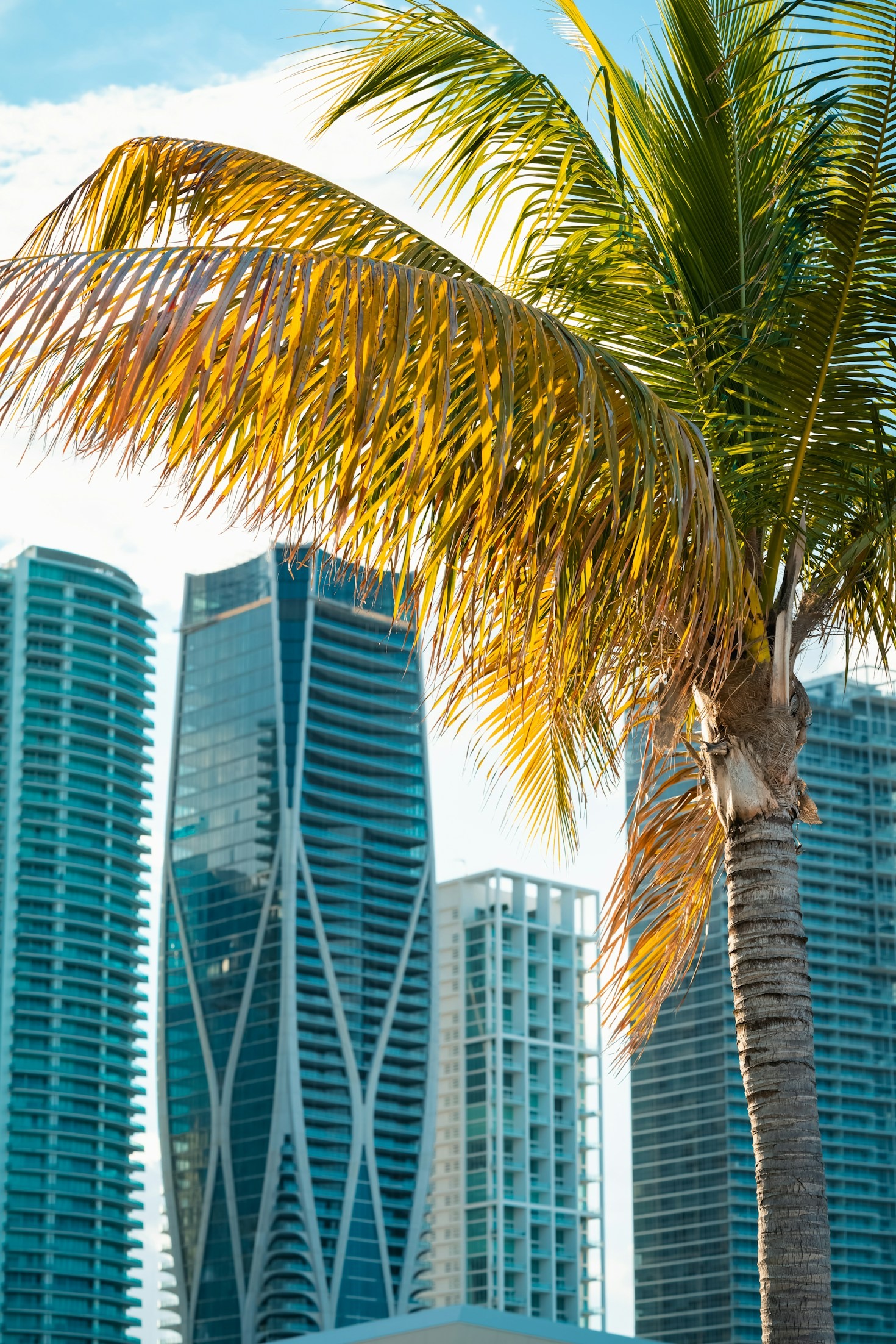 Why Miami Is Called the Magic City